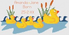 Cross Stitch Birth Sampler Kit