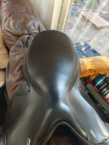 Equestrian saddle - equestrian,