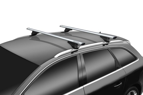 Menabo leopard silver roof - leopard,