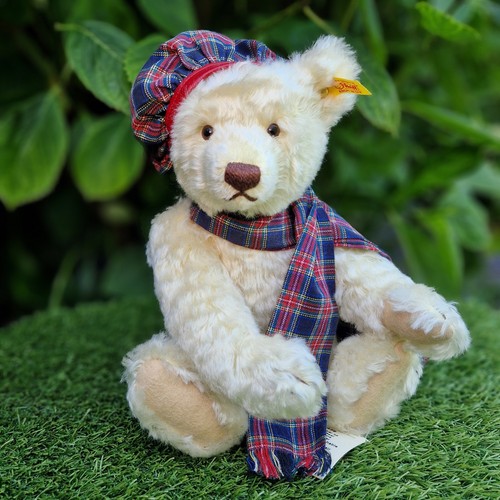 Once loved winter bear - loved,