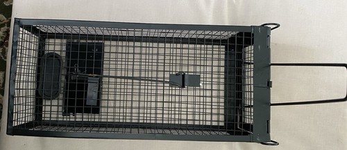 Live animal traps - live, 2