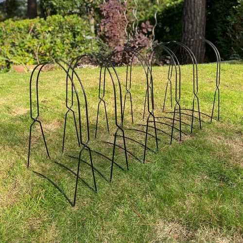Growbag cane frame - cane,