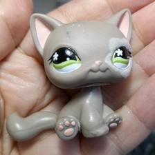 Littlest Pet Shop Cat  #467 Flocked shorthair Hasbro
