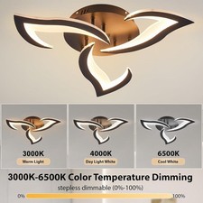 36W Modern LED Ceiling Light