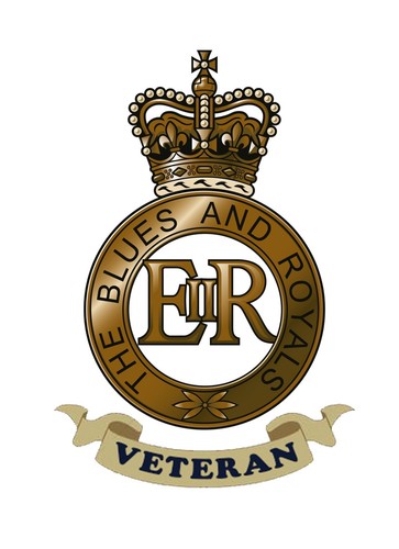 Blues and royals veteran - blues,