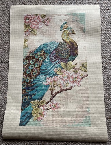 Peacock finished cross stitch - finished,