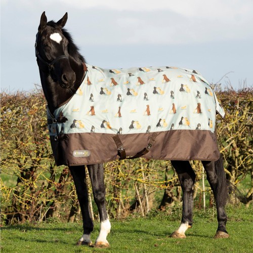 Stormx original dog - stormx, it's