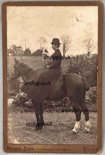 Cabinet card lady - cabinet, horse