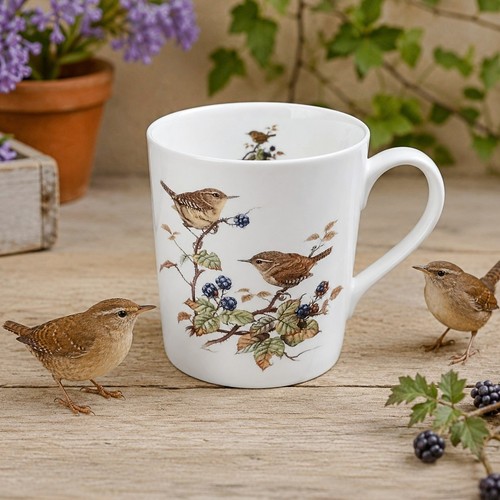 Wren birds scene - wren, fine