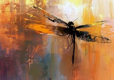 Striking oil dragonfly - striking,