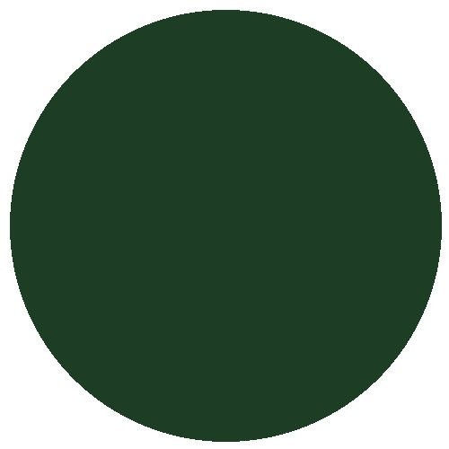 Railmatch 1601 gwr loco green - gwr,