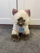 Build bear cat - build, a