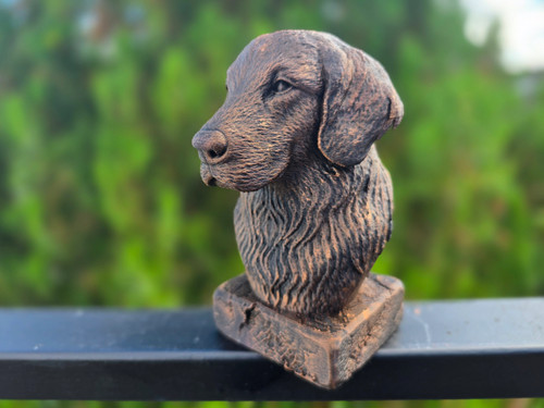 Flat coated retriever bust - coated,