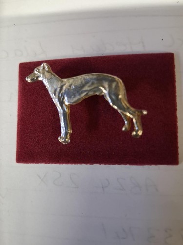 Greyhound whippet standing dog - greyhound/whippet,