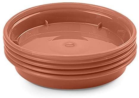 Plant flower strong pots - plant,