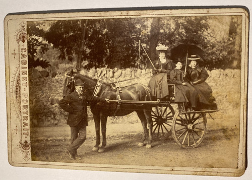 Horse pony and - trap,