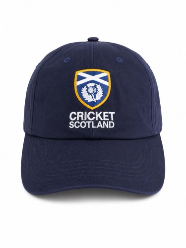 Adult cricket blue - cricket,