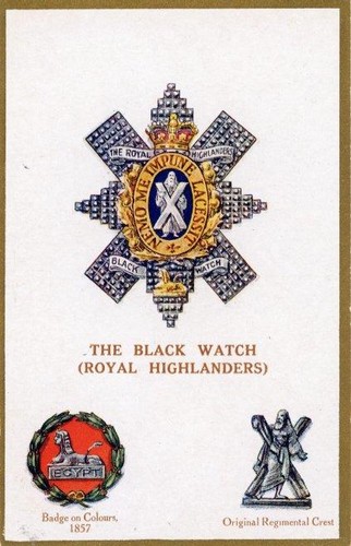Military regimental badge - regimental,