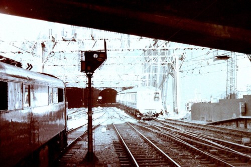 Dmu lot - (35mm, negative)