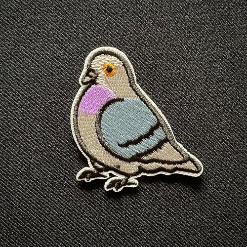 Homing pigeon bird dove - pigeon,