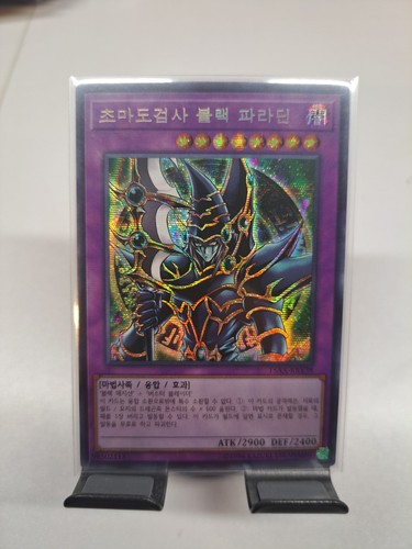Dark paladin - dark,