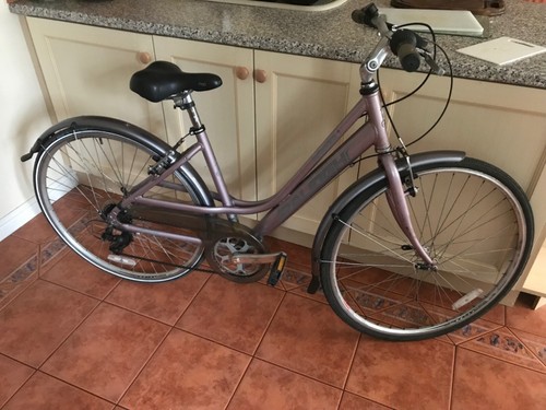 Raleigh pioneer ladies bike - ladies,