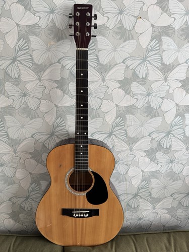 Elevation acoustic guitar