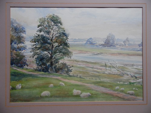 Anglia river landscape - e., with