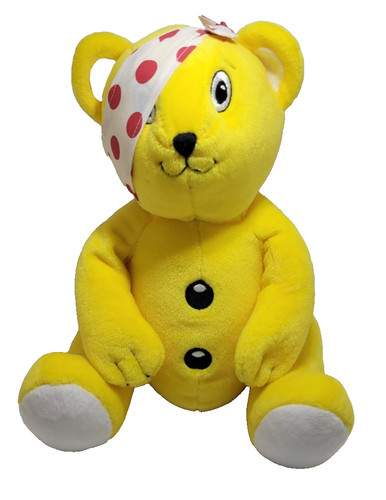 Pudsey bear teddy - teddy,