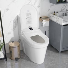 Electric Smart Bidet Toilet