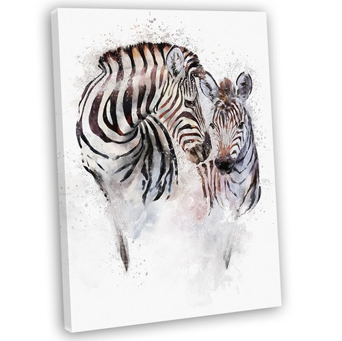 Zebra foal watercolour - &,
