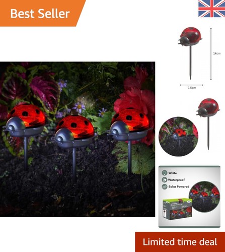 Set ladybird solar - ladybird,