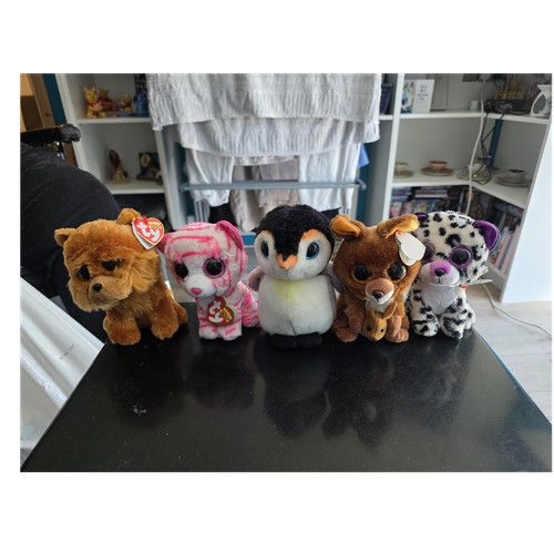 Beanies plush toys dog - beanies, cat