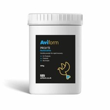 Aviform prolyte probiotic - prolyte,