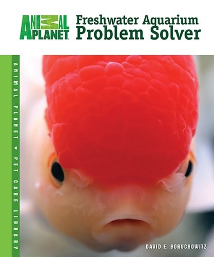 Freshwater aquarium problem - freshwater,
