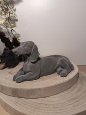 Grey velveteen dachshund - grey,