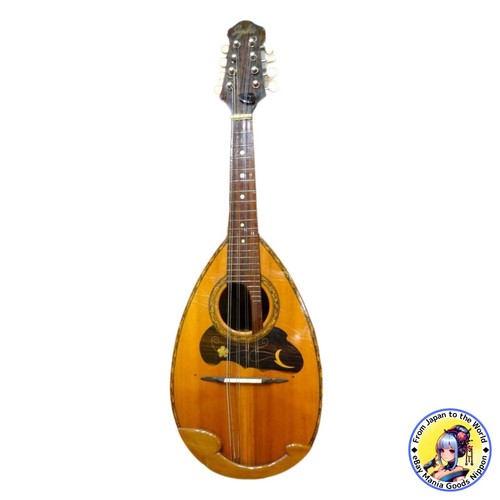 Suzuki mandolin strings violin - mandolin,
