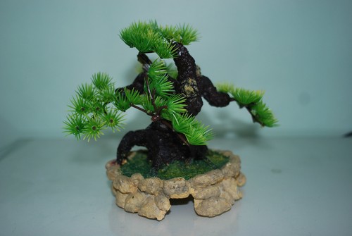 Vivarium bonsai with rock - vivarium,