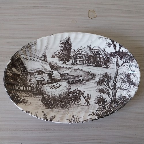 Ridgway ironstone plate - x,