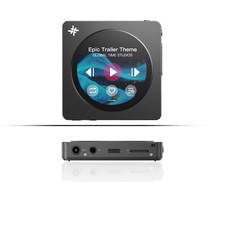 FiiO Snowsky Disc Hi-Res