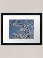Frozen Tree Framed Art Print