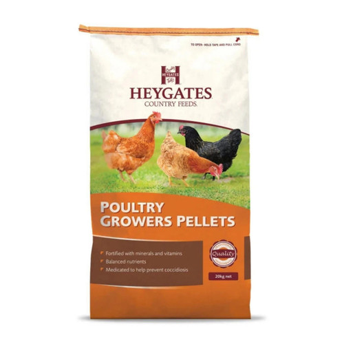 Chicken turkey food - turkey,