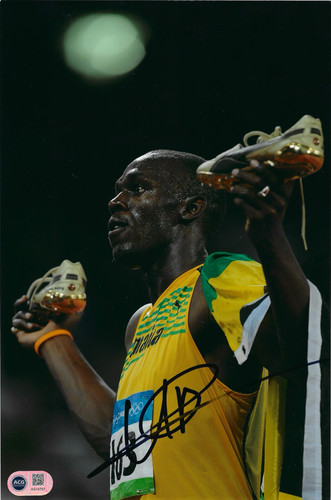 Usain bolt signed 12x8 - usain,