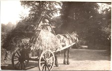 Horse Drawn Hay Cart Rural