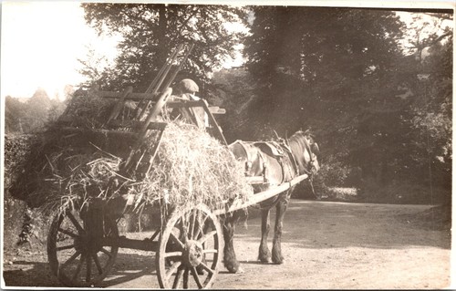 Horse drawn hay cart - horse,
