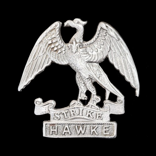 Hawke battalion royal naval - hawke,