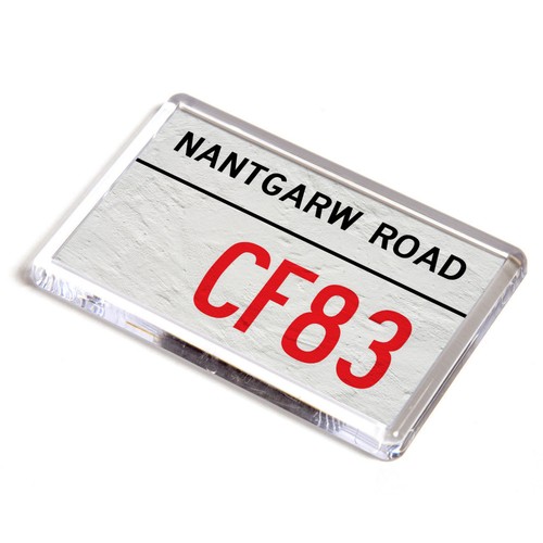 Fridge magnet nantgarw - fridge,