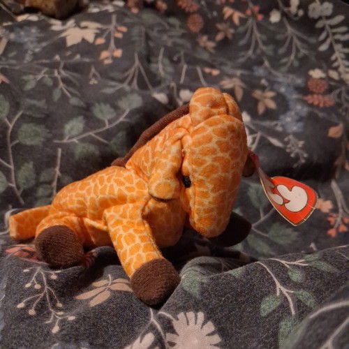 Twigs the giraffe retired - twigs,
