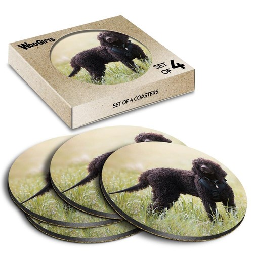 Round mdf coaster irish - mdf,