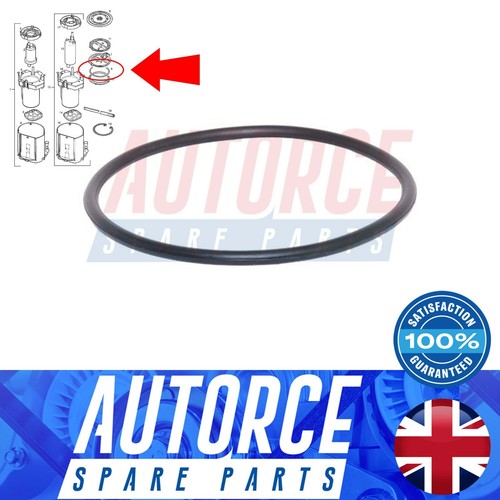 Fuel tank gasket seal fits - tank,